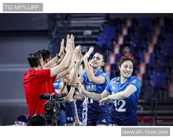 深圳排球队创新高引领排球节奏排名新潮流